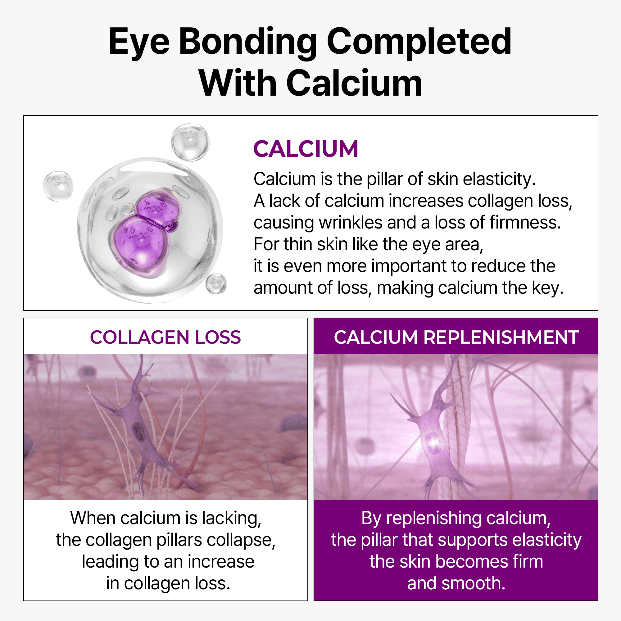 Ageless Eye Cream Duo - image 6